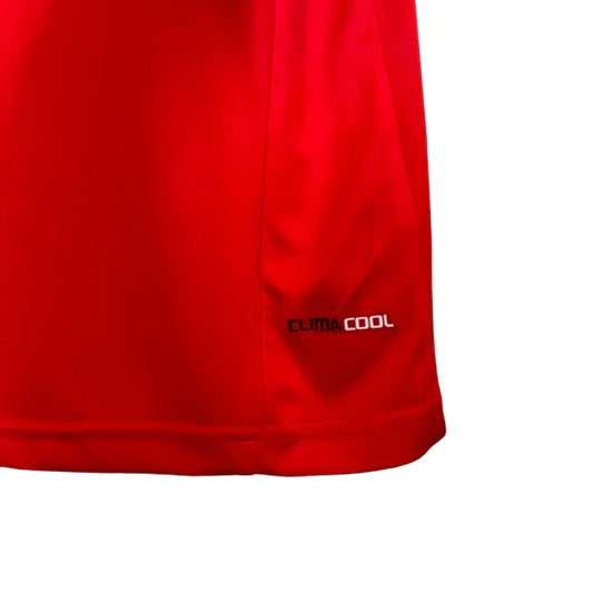 Retro Seleção da Espanha 2010