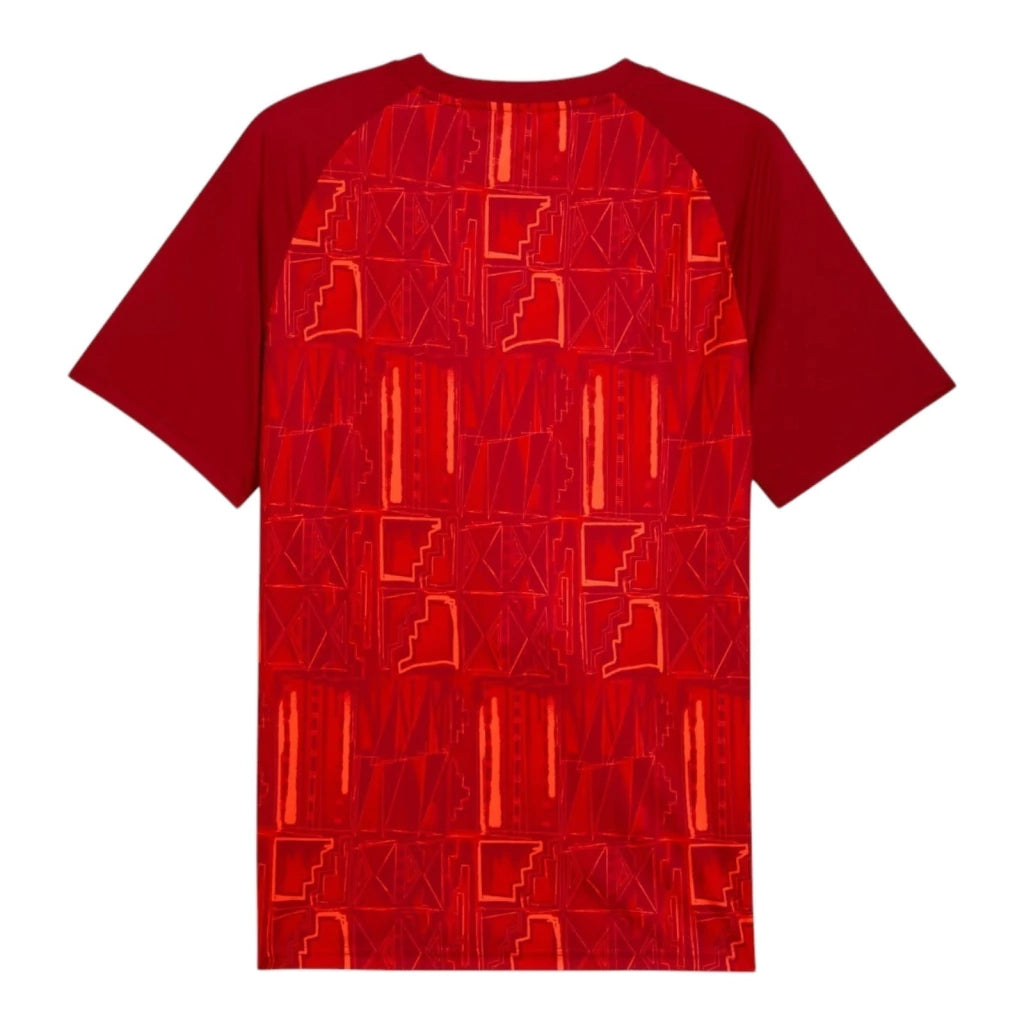 Camiseta Ghana Pre-Partido 26/27