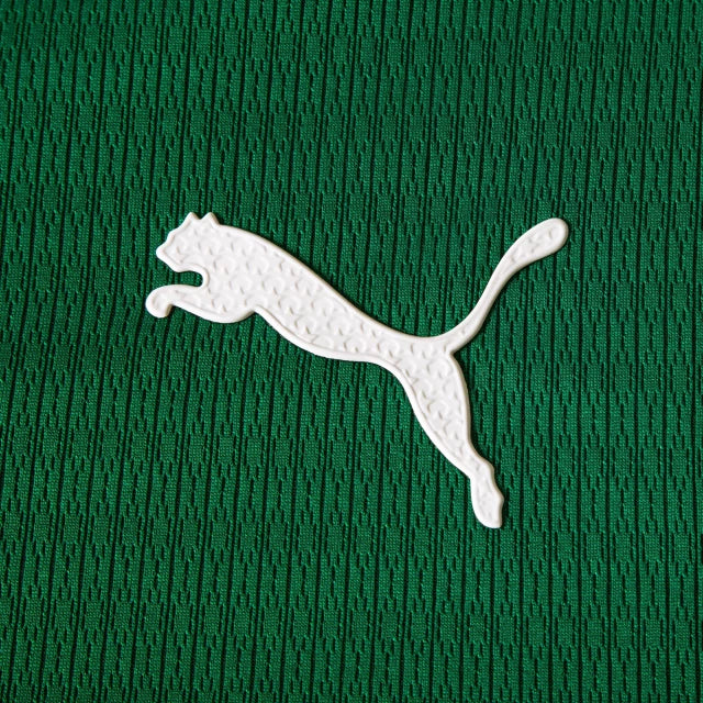 Short Palmeiras II 26-27 - Hombre