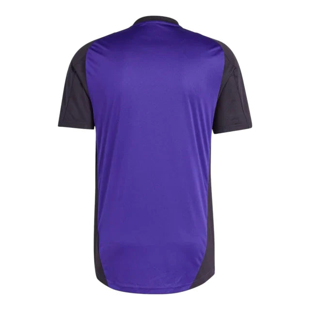 Camiseta Alemania 24/25