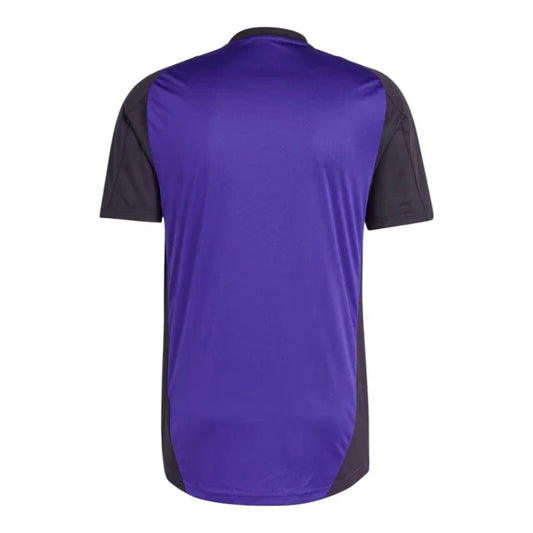 Camiseta Alemania 24/25