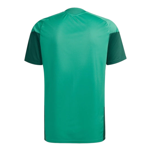 Camiseta de Entrenamiento Argelia 26/27
