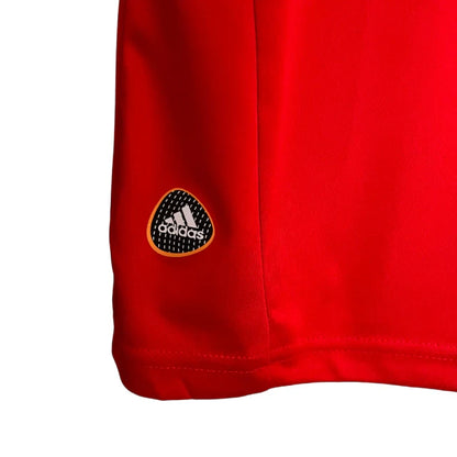 Retro Seleção da Espanha 2010