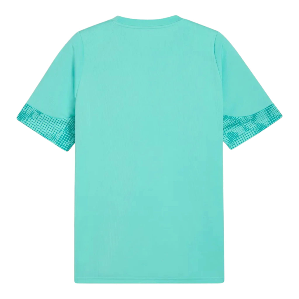 Camiseta de Entrenamiento Palmeiras 26/27