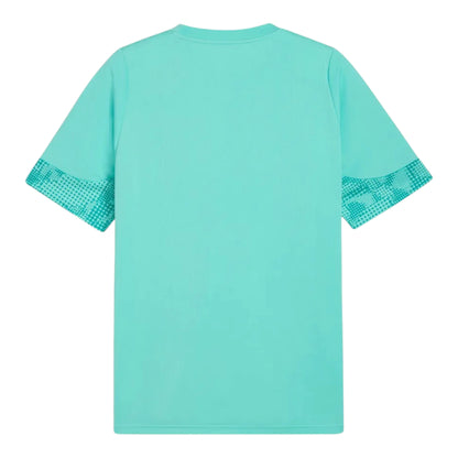 Camiseta de Entrenamiento Palmeiras 26/27