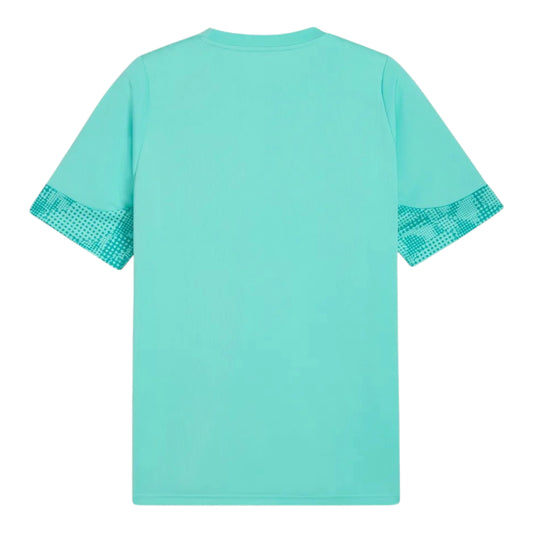 Camiseta de Entrenamiento Palmeiras 26/27