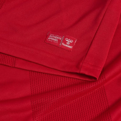 Camiseta Dinamarca 26/27 - Primera Equipación