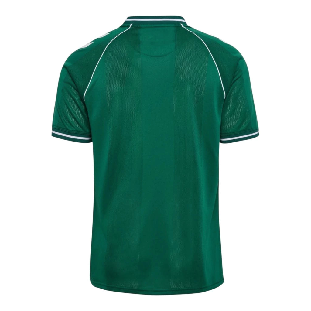 Camiseta Dinamarca Portero 26/27 - Segunda Equipación