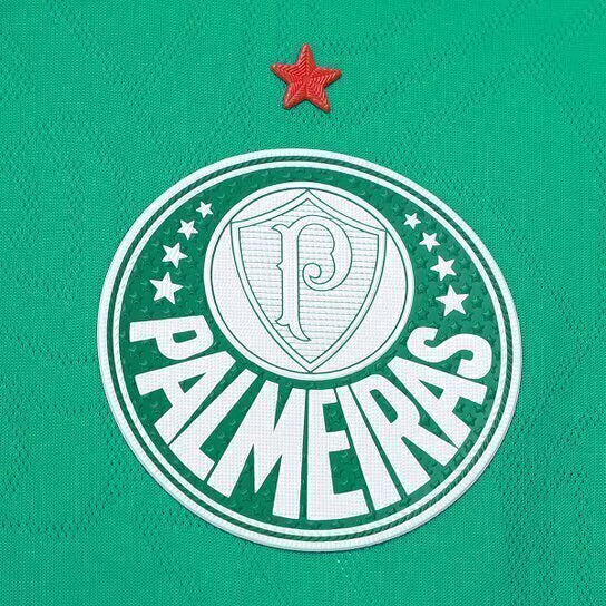 Camiseta Palmeiras 25-26 Mujer