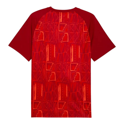 Camiseta Ghana Pre-Partido 26/27