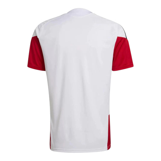 Camiseta de Entrenamiento Alemania 26/27