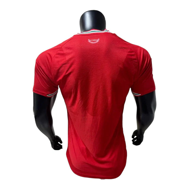 Camiseta Seleção País de Gales Jugador 26-27 - Primera Equipación