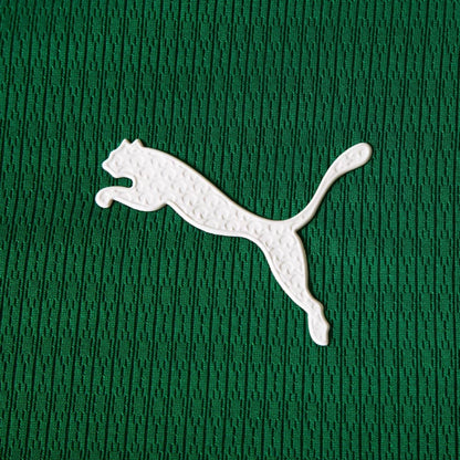 Short Palmeiras II 26-27 - Hombre