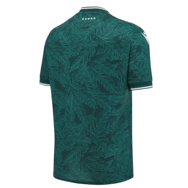 Camiseta Santiago Wanderers 24-25 - Primera Equipación