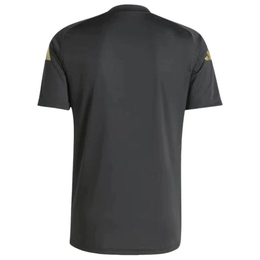 Camiseta Pre-Partido Seleção da Argentina 24-25