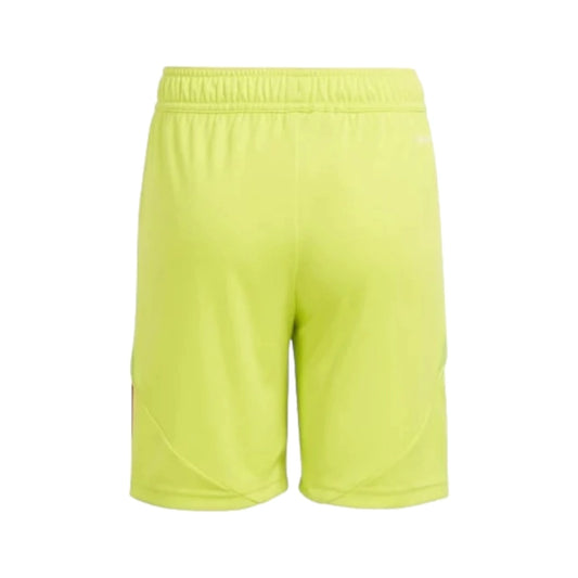 Short Shorts Arsenal Portero 24-25 - Hombre