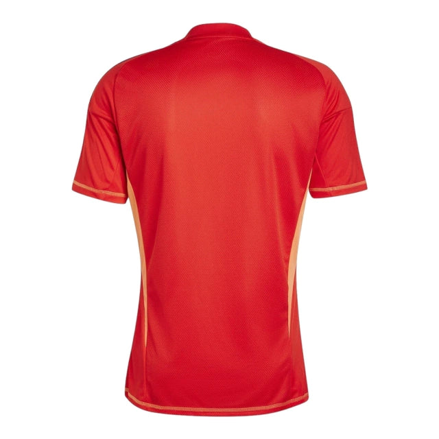 Camiseta de Portero Juventus 24-25