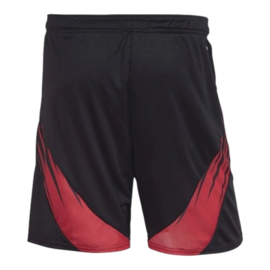 Short Flamengo II 25-26 - Hombre
