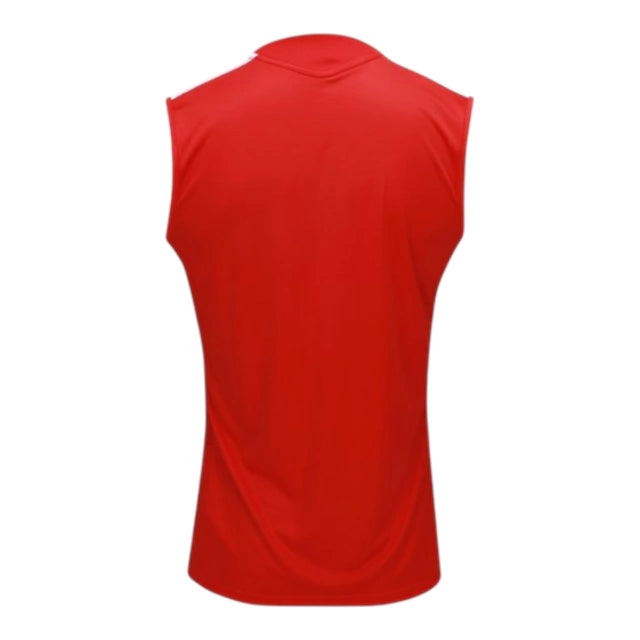 Camiseta de Entrenamiento sin Mangas Internacional 26-27
