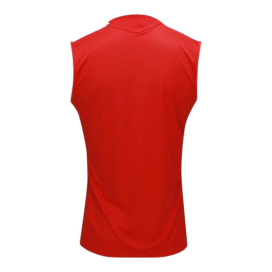 Camiseta de Entrenamiento sin Mangas Internacional 26-27