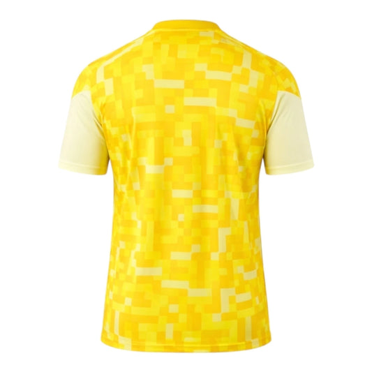 Camiseta Sudáfrica Pre-Partido 26/27 - Primera Equipación